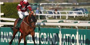 Grand national odds and betting insights 